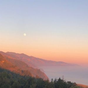 Meet your Posher, Loretta